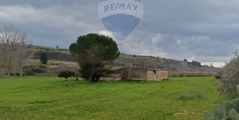 2025021365716-929189-3