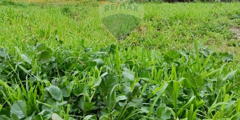 2025021365720-929189-6