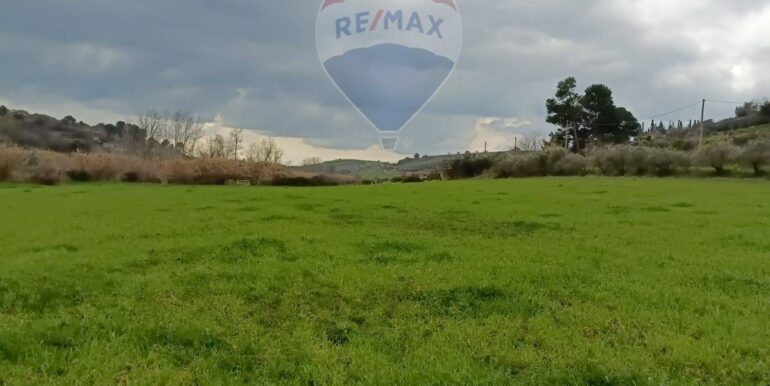 2025021365724-929189-9