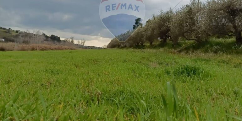 2025021365750-929189-14