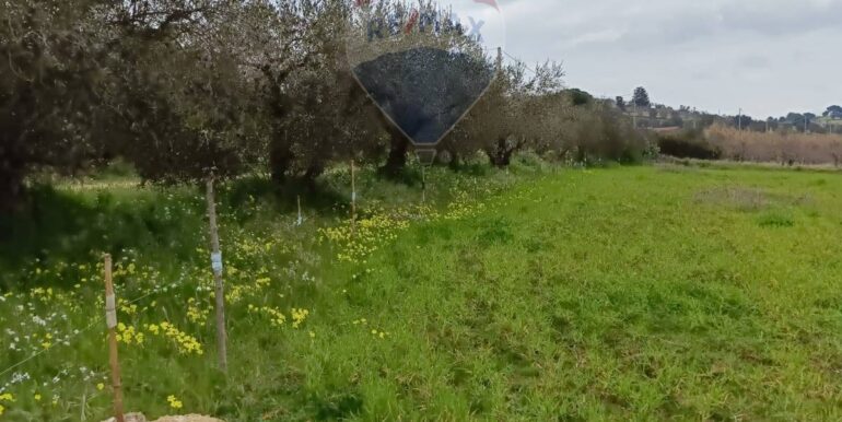 2025021365751-929189-15