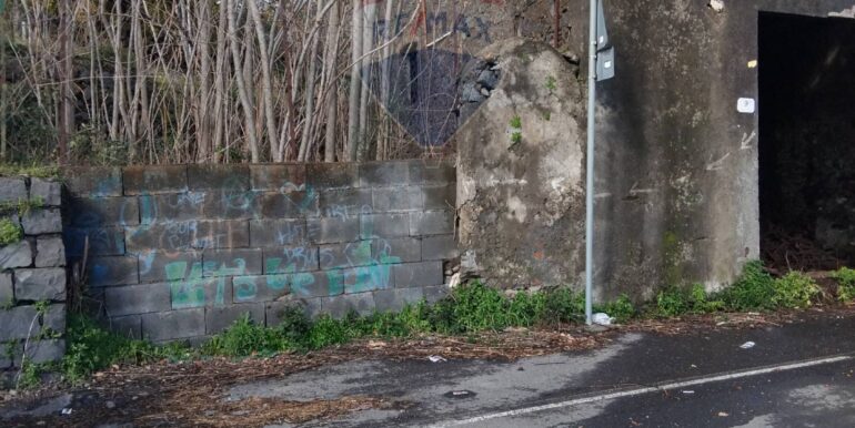 20250215114546-929673-4