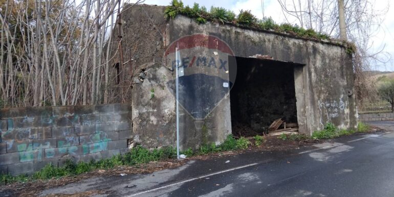 20250215114549-929673-5