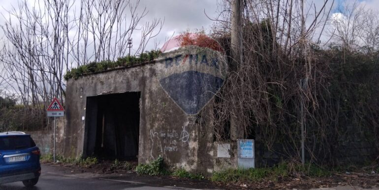 20250215114553-929673-6