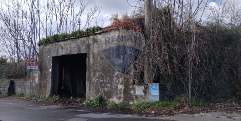 20250215120352-929673-10