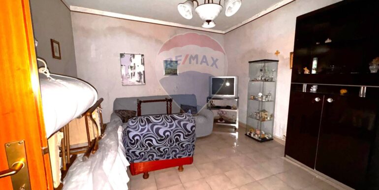 20250218121135-930231-7