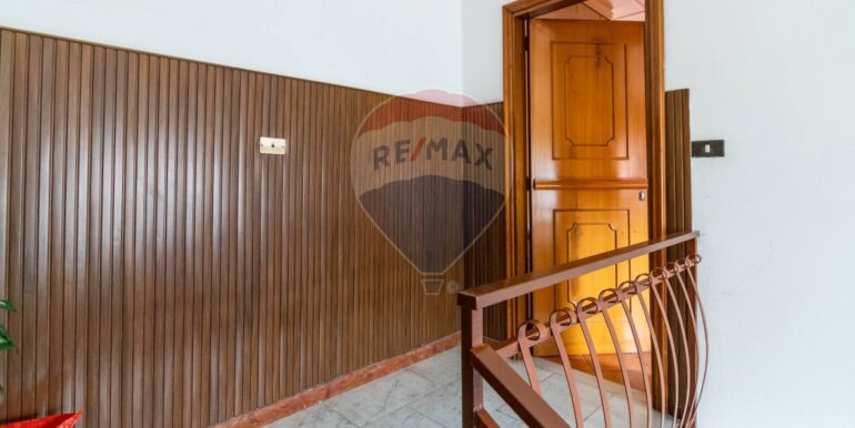 20250225194524-928657-1