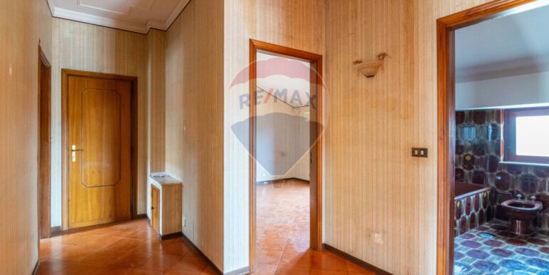 20250225194542-928657-11