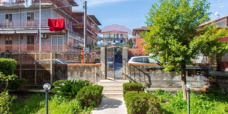 20250226131210-932437-3