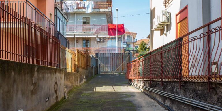 20250226131224-932437-9