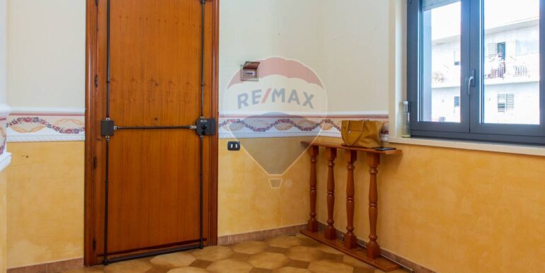 20250226131230-932437-13