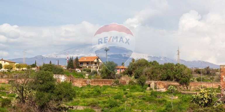 20250226131239-932437-18