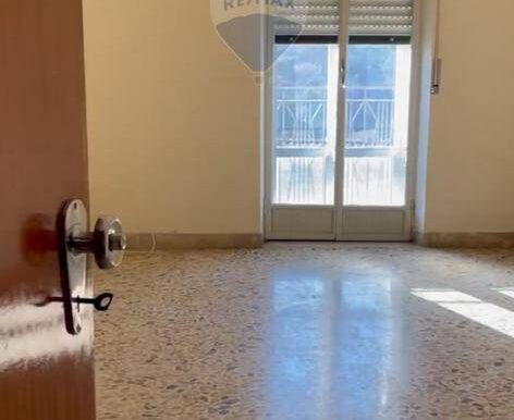 20250228142349-933192-1