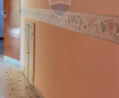 20250228142349-933192-10