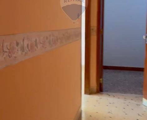 20250228142349-933192-5