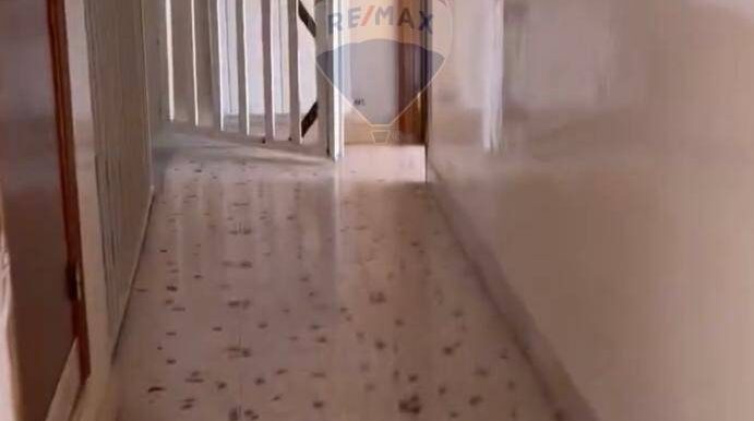 20250228142349-933192-6