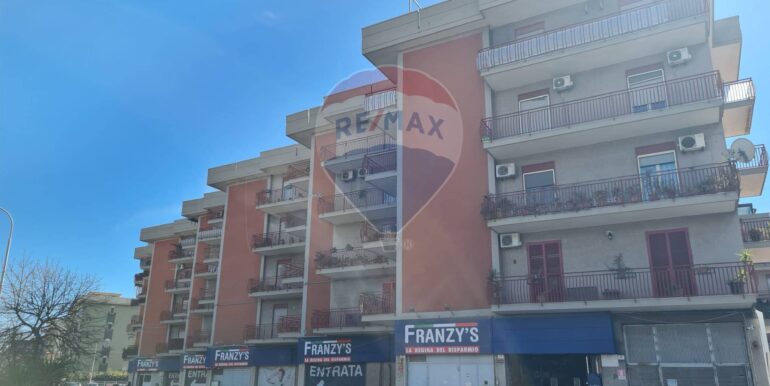 20250228192939-933356-5