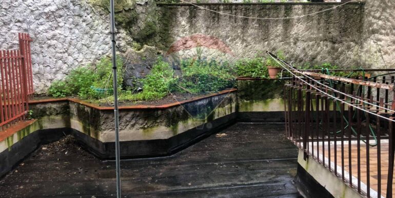 20250303184909-933674-9