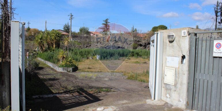 20250305111948-934029-1