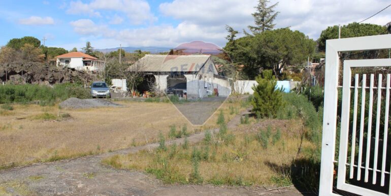 20250305112014-934029-3