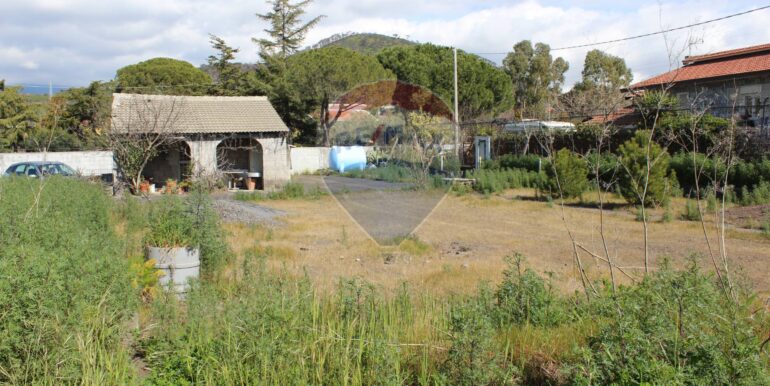 20250305112028-934029-4