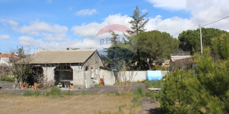 20250305112037-934029-5