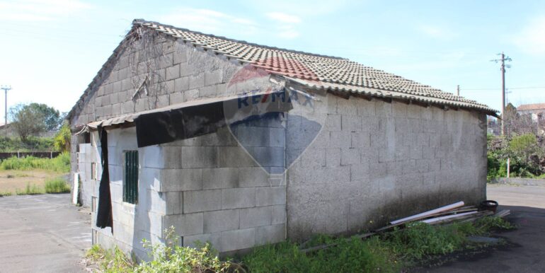 20250305112049-934029-6