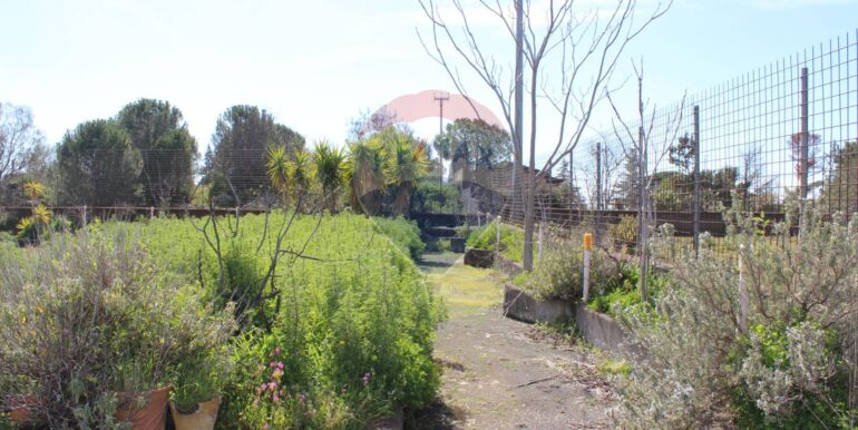 20250305112105-934029-7