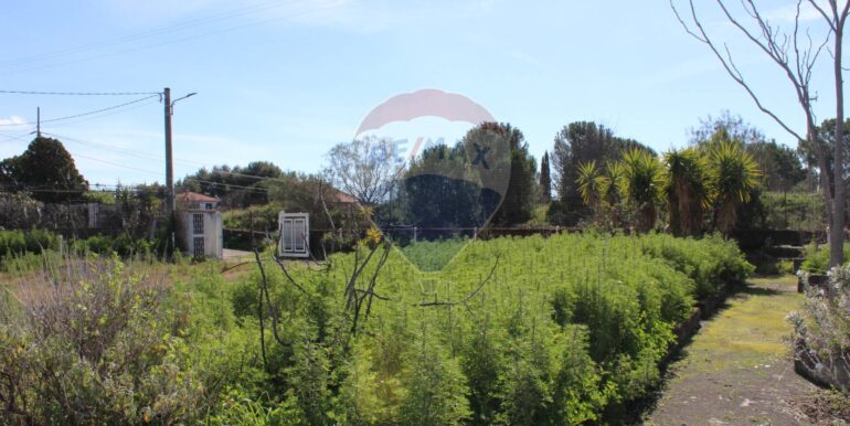 20250305112114-934029-8