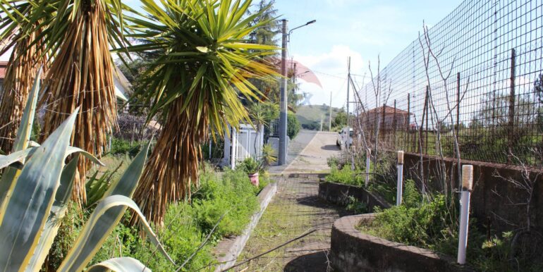 20250305112127-934029-9