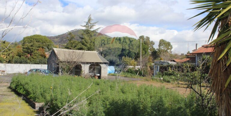 20250305112142-934029-10