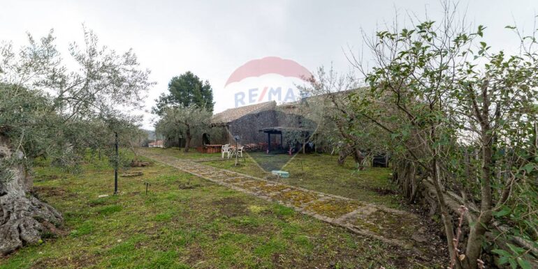 20250305200204-934207-2