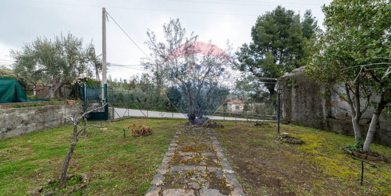 20250305200209-934207-3