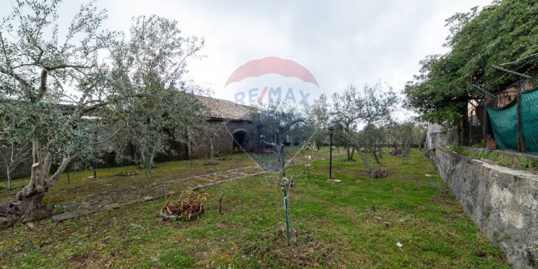 20250305200215-934207-4