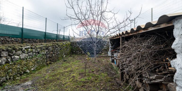 20250305200238-934207-9