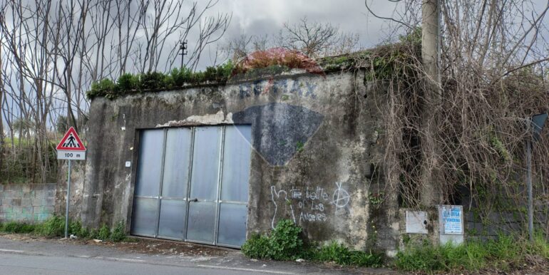 20250307162621-929673-12