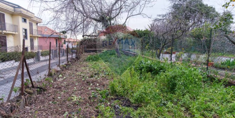 20250313201347-936286-3