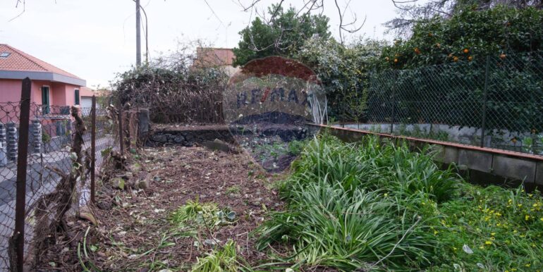 20250313201353-936286-5