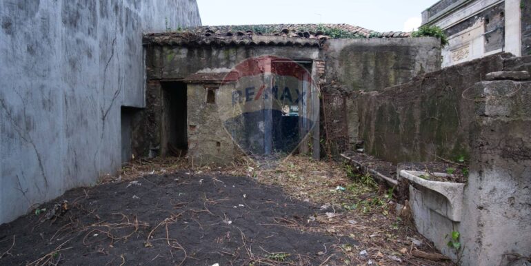 20250313201357-936286-6