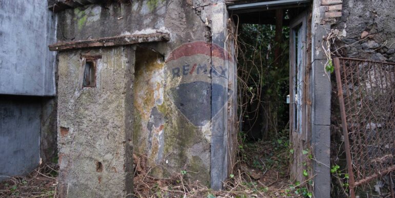 20250313201402-936286-8