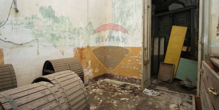 20250313201405-936286-9