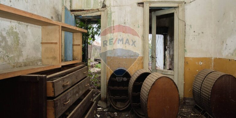 20250313201410-936286-11