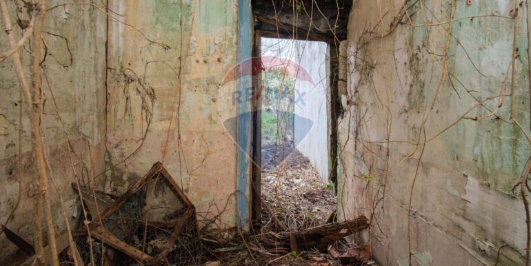 20250313201414-936286-13