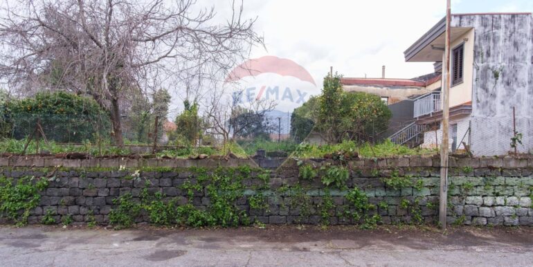 20250313201436-936286-21