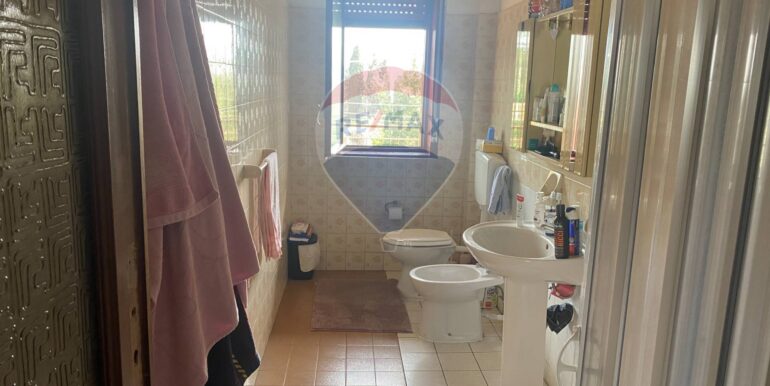 20250317174837-936832-5