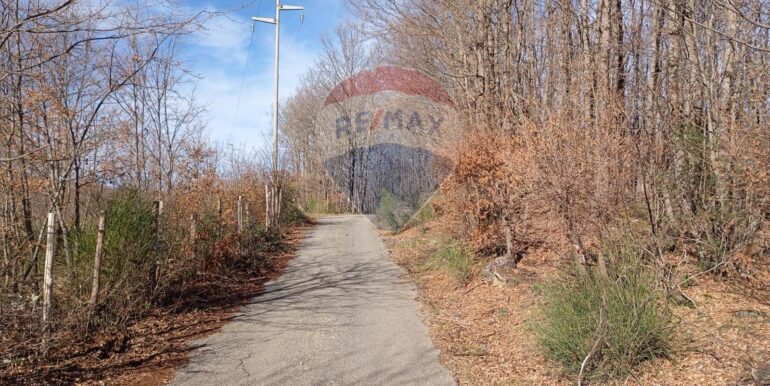 20250401120937-940110-1