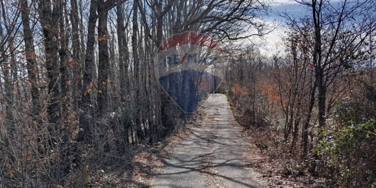 20250401120940-940110-2