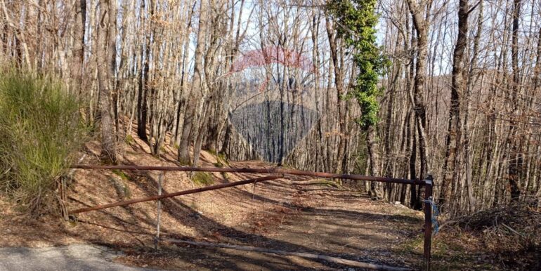 20250401120944-940110-3