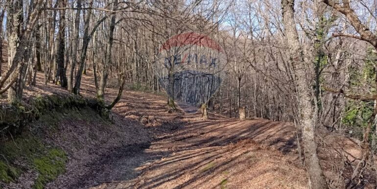 20250401120949-940110-4