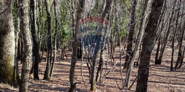 20250401120953-940110-5